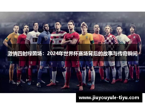 激情四射绿茵场：2024年世界杯赛场背后的故事与传奇瞬间