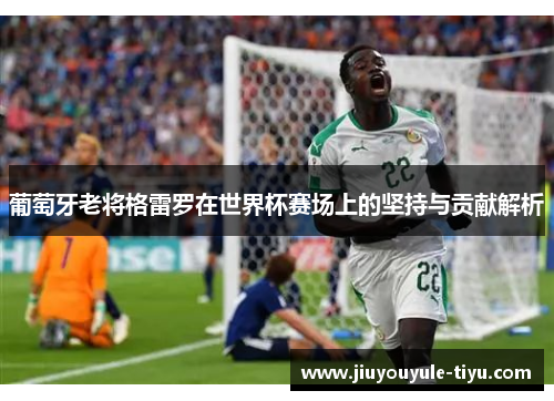 葡萄牙老将格雷罗在世界杯赛场上的坚持与贡献解析