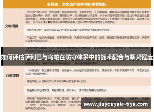 如何评估萨利巴与乌帕在防守体系中的战术配合与默契程度